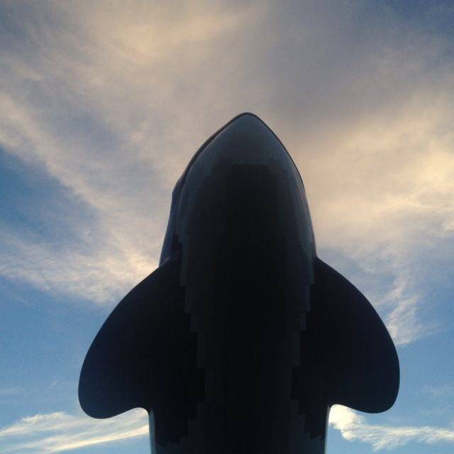 病毒时期的概率