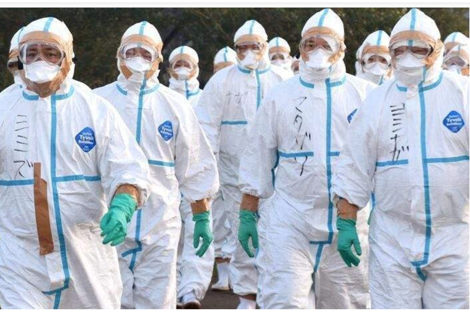 病毒时期的概率