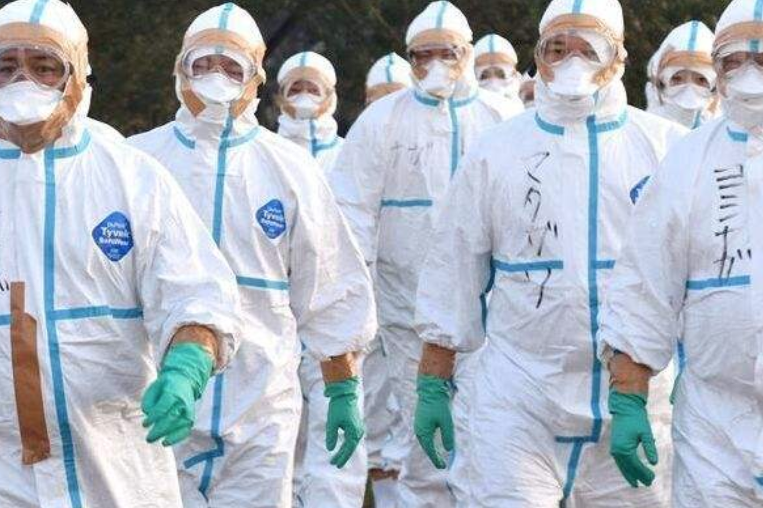 武汉核心战场那些揪心的数据