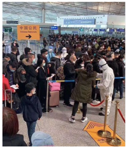 你们是回国避难,不是来当大爷的