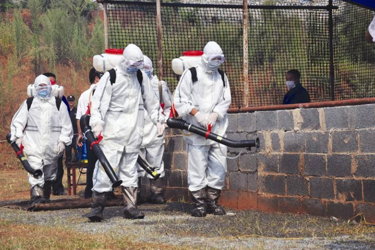 你们是回国避难,不是来当大爷的